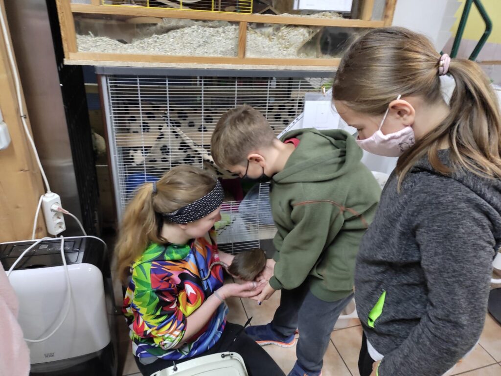 Kinder halten eine Ratte vor einem Käfig.