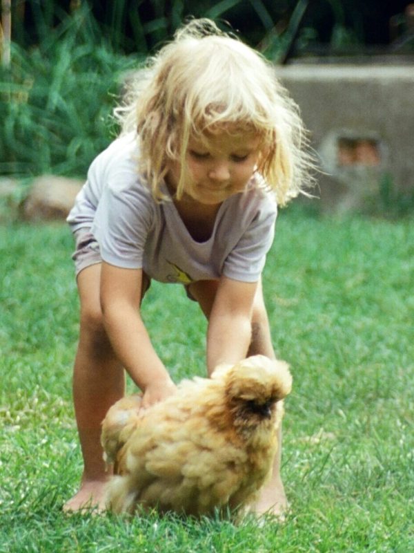 Ein Kind hebt ein Huhn auf einer grünen Wiese auf.